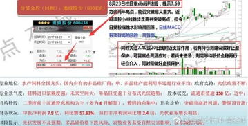 正规京牌服务机构示意图